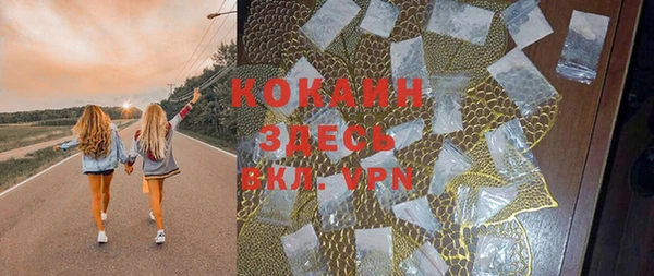 мет Арсеньев