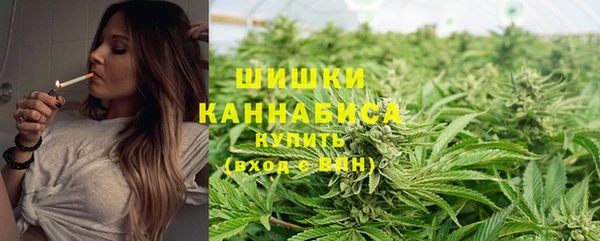 гидра Зерноград